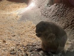 -酷嗒动物文化乐园(cutezoo西溪乐天城店)