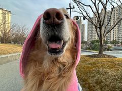 -PETKIT小佩宠物(古北店)