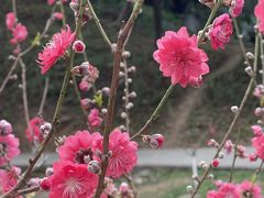 -桃花涧