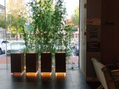 -新紫霞养生·影院足道·SPA(金山区店)
