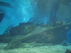 -福州罗源湾海洋世界旅游区