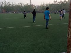 -陕西省游泳跳水馆