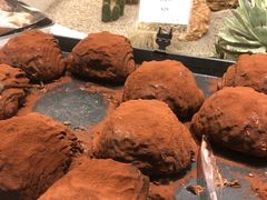 -OUR Bakery(SKP-S店)