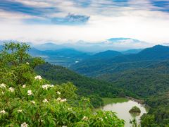 -广州白江湖森林公园