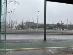 -阿达西新疆餐厅(西北大学店)