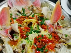 -东江湖游水三文鱼美食城