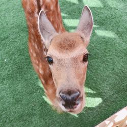 -萌宠亲子动物乐园(槐房万达店)