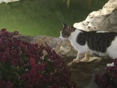 -李叔同故居纪念馆