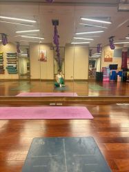 -皇冠瑜伽·普拉提·疼痛康复