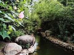 -诗经里
