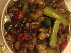 -同庆楼(滨湖万达广场店)