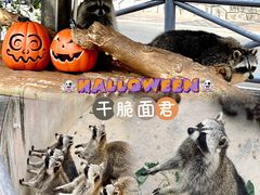 -灵玲国际马戏城