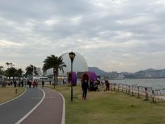 -野狸岛