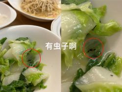 -贰拾捌月子会所·古月(开福店)