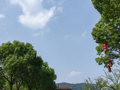 -龙寺生态园