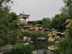-武清南湖绿博园
