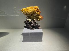 -青田石雕博物馆