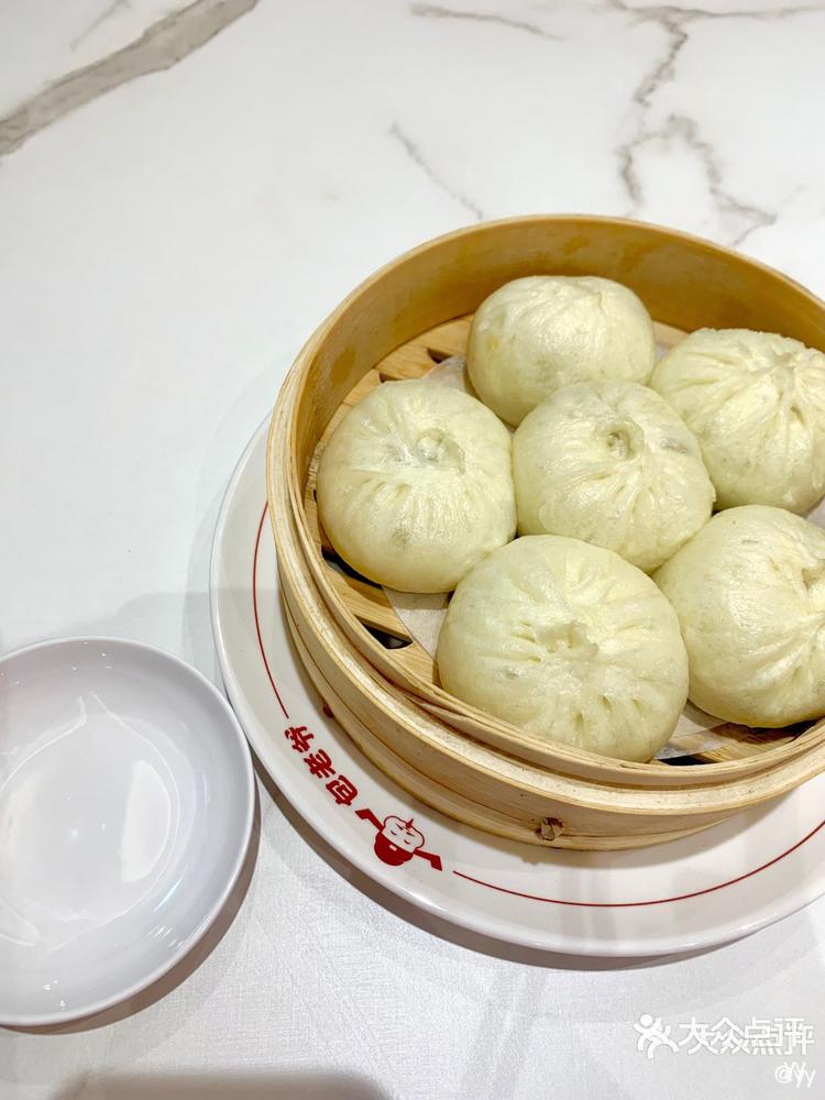 包子界的新星