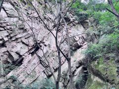 -大岭沟猕猴桃谷风景区
