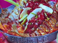 -老板恋上鱼(恒隆广场店)