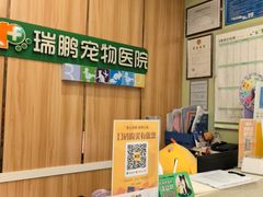 -瑞鹏宠物医院·夜间急症·心超·猫科(祖庙分店)