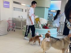 -怪兽屋·羊驼·猫咖·狗咖(俊华广场店)