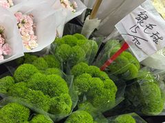 -循礼门鲜花花市(武汉循礼门店)