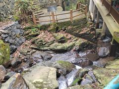 -藏龙百瀑风景区