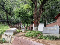 -马王堆汉墓遗址