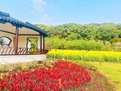-苏州上方山国家森林公园