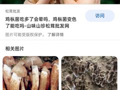 -雀舞云南菜(乐客城店)
