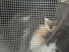 -瑞鹏瑞爱宠物医院·全科·猫科·血液透析中心(龙头寺店)