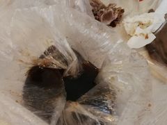 -杨震卤菜旗舰店