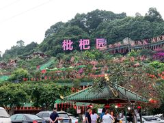 -枇杷园食为鲜火锅(南山店)