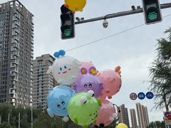 -长白岛森林公园