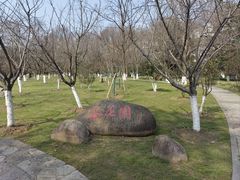 -玄武湖景区-情侣园游乐场