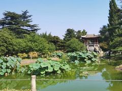 -国家植物园南园