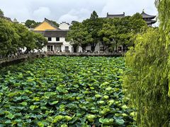 -高佳庄·海鲜酒楼(东港店)