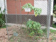 -陈李济中药博物馆