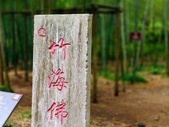 -马仁奇峰