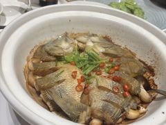 -蔼若春.传承三十年云南菜(金碧公园店)