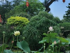 -广州莲花山旅游区