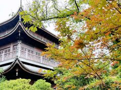 -龙华寺