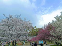 -苏州上方山国家森林公园