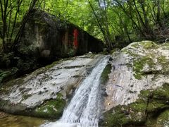 -青峰峡国家森林公园