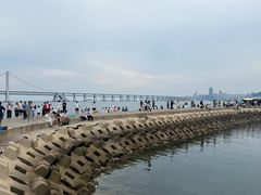 -星海广场