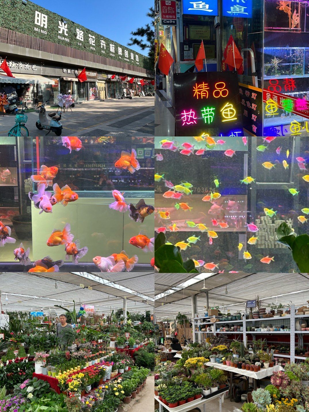 明光路花卉市场