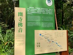 -莫里热带雨林景区