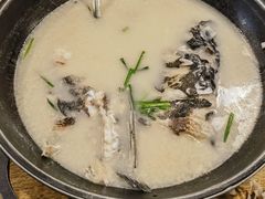 野生千岛湖鱼头-丰乐餐厅·始于1999·本地老字号