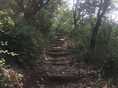-雾灵西峰